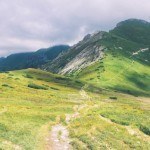 “The Farmer’s Luck in Silicon Valley”