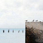 “Who Are You Comparing Yourself To?”